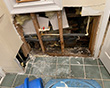 Water Damage Restoration in Washington, DC