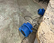 Water Damage Restoration in Washington, DC