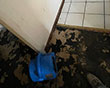 Water Damage Restoration in Washington, DC