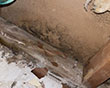 Water Damage Restoration in Washington, DC