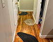 Water Damage Restoration in Baltimore, MD