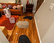 Water Damage Restoration in Baltimore, MD