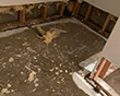 Water Damage Restoration in Washington, DC