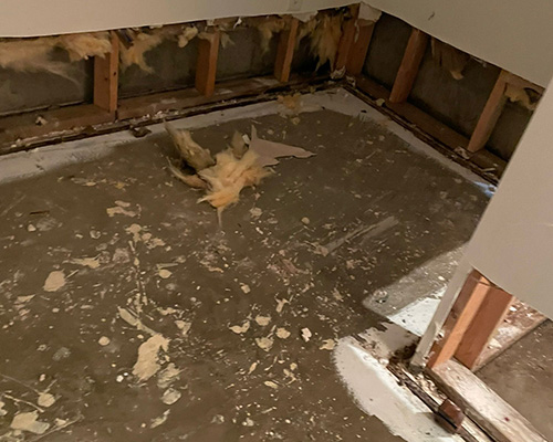 Water Damage Restoration in Washington, DC