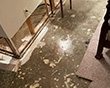 Water Damage Restoration in Washington, DC